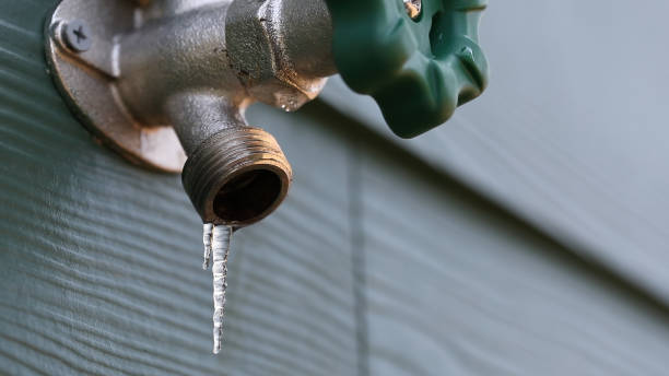Best Local Plumber Services  in Graysville, AL